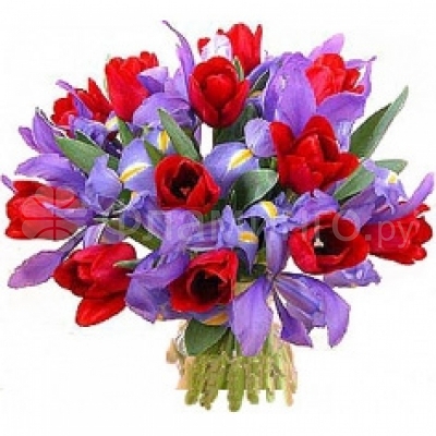 Виолетта Цветочная композиция из тюльпанов и ирисов «Виолетта» - яркий, запоминающий букет, который станет приятным подарком по любому случаю. К Международному женскому дню, дню рождения или по любому другому поводу букет в красно-сиреневых тонах надолго запомнится получателю. Порадуйте любимую цветочной композицией из весенних цветов. Тюльпаны, ирисы.